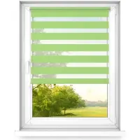 Time4blinds , Tag und Nacht Doppelrollo Mini, Limette - Links, 50x100cm