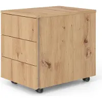 BaseLite Rollcontainer