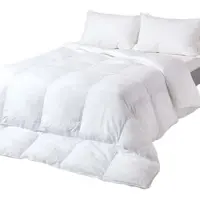Homescapes GANZJAHRESDECKE warm 230/220 cm, Super-Mikrofaser