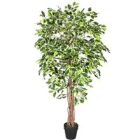 Homescapes KUNSTBAUM Ficus benjamini, 180 cm