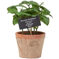 Homescapes KUNSTPFLANZE Monstera, 60 cm