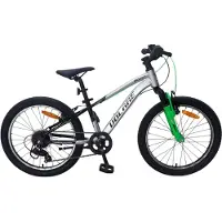Volare Jugendfahrrad Boost 24 Zoll, Silber/Grün