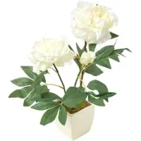 Homescapes KUNSTBLUME Pfingstrose creme im Deko-Topf, 46 cm