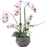 Homescapes KUNSTBLUME Orchidee weiß-pink im Deko-Topf, 52 cm