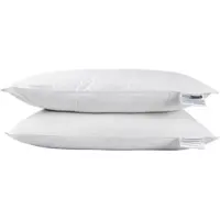 Homescapes KOPFKISSEN Seide 2er-Set, 48/74 cm
