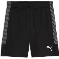 Puma Shorts Liga 2026