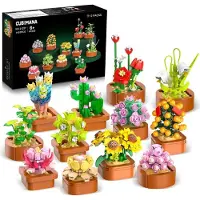 Sonstiges 12 Sukkulenten Mini Bausätze 1403 Stück Botanisches Set Büro Heimdekor Erwachsene Kinder
