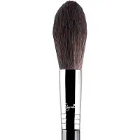 Sigma F37 Spotlight Duster Brush