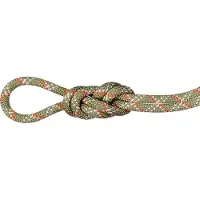 Mammut - 9.5 Gym Classic Rope - Einfachseil Gr 50 m beige