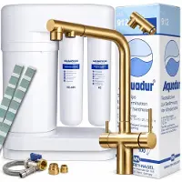 ARI Wasserfilter Set Aquaphor Morion RO-101S mit 3-Wege Küchenarmatur , ausziehbare Brause, 360° schwenkbar, Gold