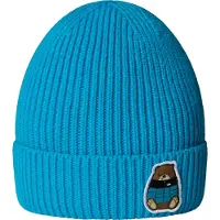 The North Face Kinder Mütze KIDS TNF LOGO BOX CUFFED BEANIE
