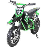 Actionbikes Motors Kinder Mini Enduro Elektro Crossbike | 500 Watt - Bis 24 km/h - Motocross - Pocketbike - Crossbike - Dirt Bike - Ab 8 Jahren (Grün)