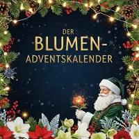 Sonstige Verlage Adventskalenderbuch mit 24 Türchen: Weihnachtsgeschichten aus Pflanzenperspektive, Pflegetipps & DIY