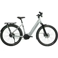 Urban jungle Damen-Elektrofahrrad Ginza 1.0 | Größe L