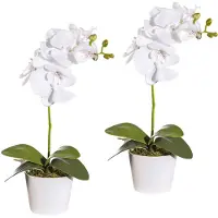 Creativ Green Kunstpflanze "Orchidee Phalaenopsis" im Keramiktopf