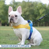Famanu Hundegeschirr für kleine bis mittelgroße Hunde - Verstellbar und reflektierend - S