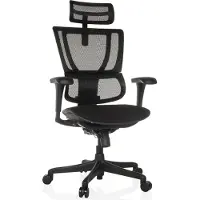Hjh OFFICE Luxus Chefsessel ERGOHUMAN SLIM ECO F GEN2 Ergonomischer Bürostuhl mit Armlehnen (höhenverstellbar) Netzstoff Drehstuhl für Büro, Zuhause