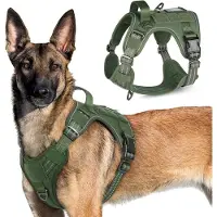 Famanu Hundegeschirr Taktisches Hundegeschirr mit Molle-System und Griff - Reflektierendes Verstellbares Hundeharnes für Große Hunde - Grün - XL