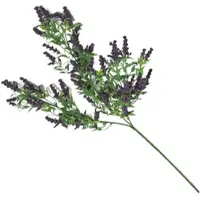 Homescapes DEKOZWEIG Wilder Lavendel, 69 cm