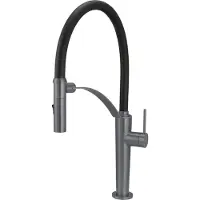 Deante Kitchen faucet with flexible spout - 2 types of spray