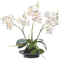 Homescapes KUNSTBLUME Orchidee weiß-pink in Deko-Schale, 38 cm