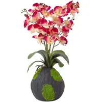 Homescapes KUNSTBLUME Orchidee pink-apricot mit Moos-Sockel, 60 cm