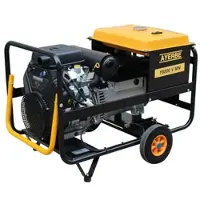 MAESTRO FERRETERO Benzingenerator 19000 W MN Einphasig mit Elektrostart und Vanguard Motor