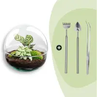 Urbanjngl Diy Terrarium - Kuppel - 20 Cm