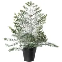 Creativ Green künstliche Pflanze Zimmertanne im Topf, beschneit, 40cm