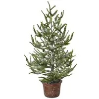 Creativ Green künstliche Pflanze Fichte mit Schnee im Topf, 65 cm, schnee