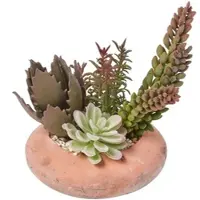 Homescapes KUNSTPFLANZEN Sukkulenten-Arrangement in Deko-Schale, 15 cm