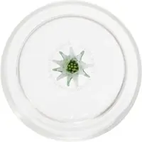 Zafferano Winter Game Tumbler-Gläser Set, Stella Alpina Kollektion, Handgefertigtes Borosilikatglas, 350ml, Ideal für Wasser, Cocktails und Softgetränke.