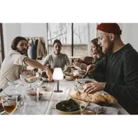 FHL Easy! FHL Fiumara LED 2er-Set Akku-Außenleuchte USB 1,5W RGB-Farbsteuerung dimmbar IP44 850247