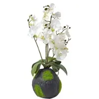 Homescapes KUNSTBLUME Orchidee weiß mit Moos-Sockel, 60 cm