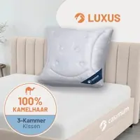 Casimum 3-Kammer-Kamelhaarkissen »LUXUS« – 100% Kamelhaar (Außen), Größe: 80x80