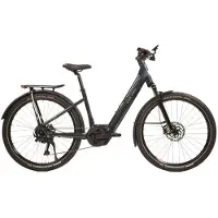 Urban jungle Barrio 3.0 Performance Elektrofahrrad