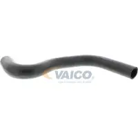 VAICO Kühlerschlauch Q+, Erstausrüsterqualität V42-0640