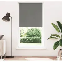 vidaXL Verdunkelungsrollo Grau 100x210cm Stoffbreite 95,7 cm Polyester