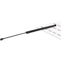 JP GROUP 1581205800 Gasfeder Heckklappendämpfer für FORD Fiesta Mk7 Schrägheck