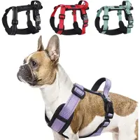 Famanu Hundegeschirr Verstellbar und Reflektierend - Lila