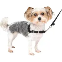 Famanu Hundegeschirr Anti-Ziehen – Komfortables Trainingsgeschirr für tägliche Spaziergänge