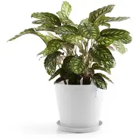 Ecopot's Blumentopf "Amsterdam 40 Weiß", für innen und außen: frostsicher, bruchsicher und lichtbeständig