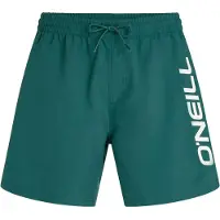 O'Neill Logo 16'' Swimshorts botanical heat (15097) L