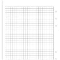 Filofax Einlage Size Notizpapier kariert 5mm weiss 25 Blatt