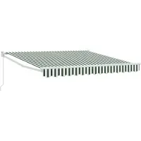 vidaXL Ausziehbare Markise Grün und Weiß 350 x 250 cm