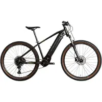 Wolfbike E-Mountainbike Atomic R29