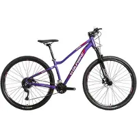 Wolfbike E-Bike für Damen Valkyria 29