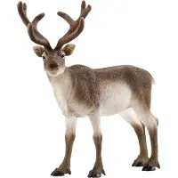Schleich WILD Life | Rentier 14837 | detailgetreue Tierfiguren | Zoo Spielzeug Jungen und Mädchen | Deko für Geburtstag | Spielfigur ab 3 Jahren | 13 x 6 x 12 cm