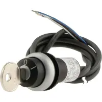 Eaton 186263 Schlüsseltaste, RMQ compact solution, rastend, 1 S, Kabel (schwarz) mit offenem Ende, 4-polig, 1 m, 2 Stellungen, MS1, Frontring Titan