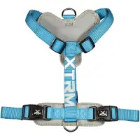 Nayeco X-trm Cronos Neon Flash Hundegeschirr Blau 20 mm x 46-75 cm Blau 20 mm x 46-75 cm